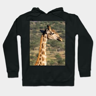 Giraffe in the wild. Hoodie